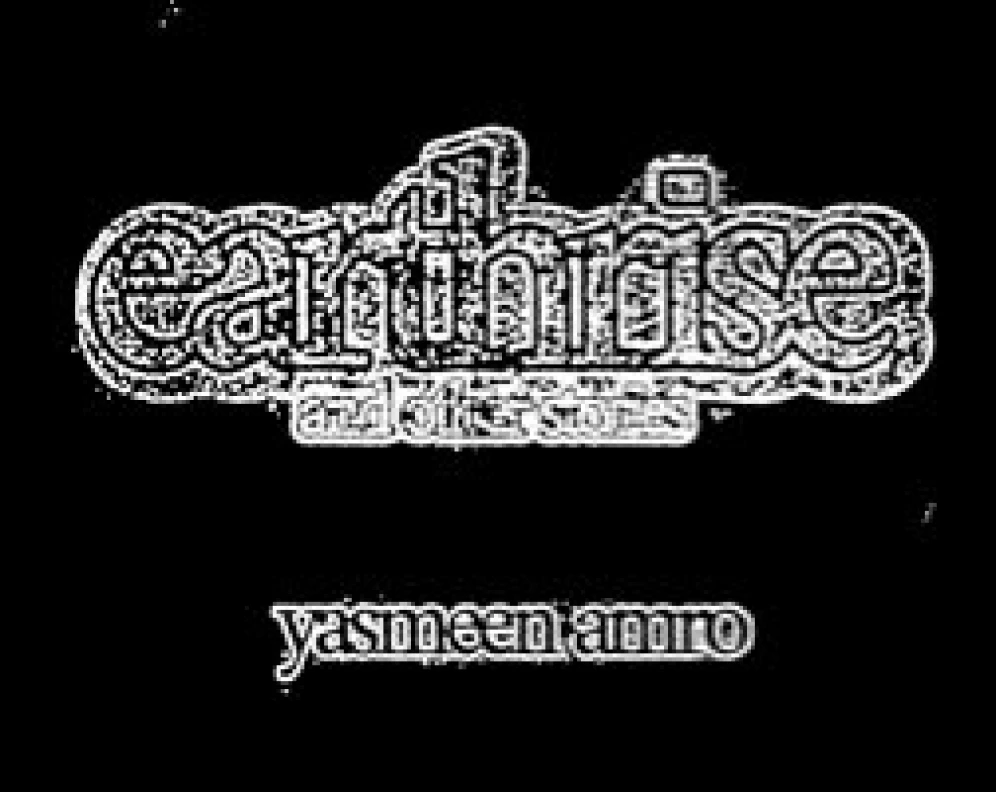 Earthrise and Other Stories, by Yasmeen Amro